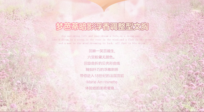 梦<em>芭蒂</em> 秋新款聚拢<em>文胸</em>暗影浮<em>香</em>蕾丝刺绣小胸